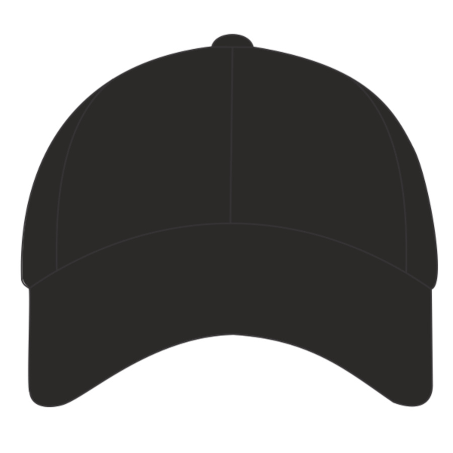 Pro-style heavy cotton cap Thumbnail